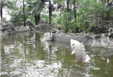 重庆沙坪坝区颐养天生态养老公寓环境图片