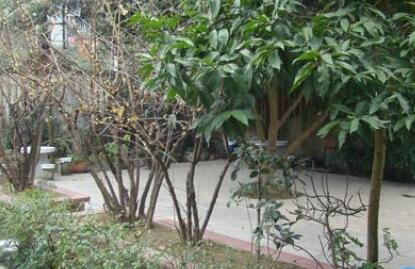 重庆住佳老年护理院环境图片