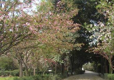 上海黄浦区蓬莱老年公寓环境图片