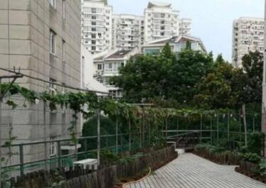 上海徐汇区久康养老院环境图片