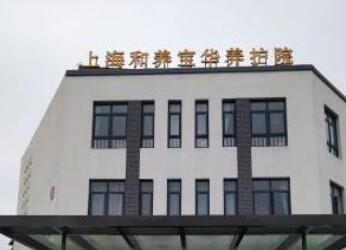 上海和养宝华养护院环境图片