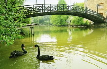 上海祥福颐养院环境图片