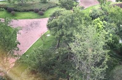 上海市闵行区华哈养老院环境图片