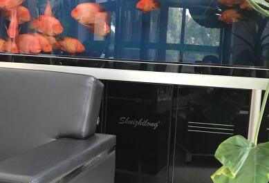 上海市闵行区华哈养老院环境图片