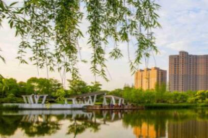 上海怡景养老院环境图片