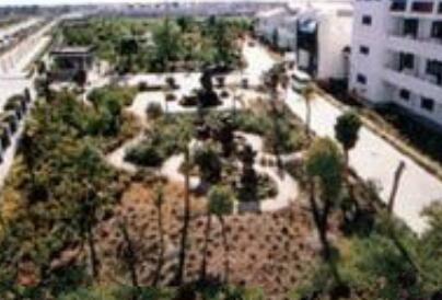 上海市松江区社会福利院环境图片