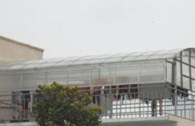 上海浦东新区祝桥敬老院环境图片