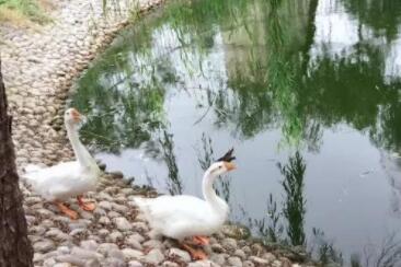 上海金福居养老院_上海养老院,上海养老院招聘最新招聘