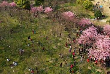 上海市宝山区永清养老院环境图片