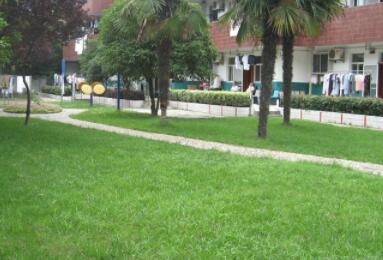 上海市宝山区泗塘承苗养老院环境图片