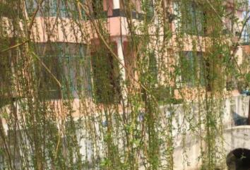 上海崇明月亮湖老年公寓环境图片