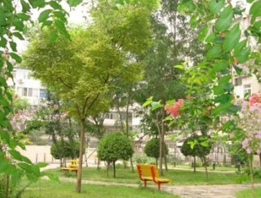 北京市西城区白纸坊街道敬老院环境图片