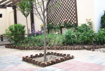 北京国安银柏椿树养老照料中心环境图片