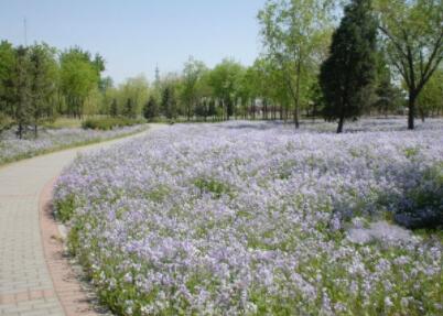 北京市朝阳区健生养老院环境图片