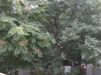 北京兆和养老院环境图片