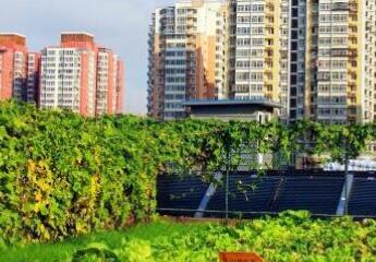 北京朝阳区七彩乐居家政养老护理中心环境图片