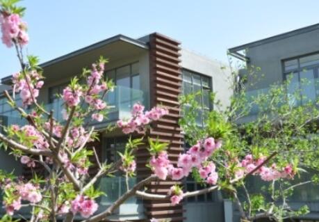 北京市海淀区锦秋香山老年社区环境图片