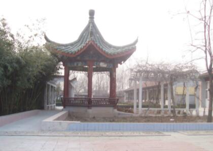 北京市通州区台湖镇敬老院环境图片