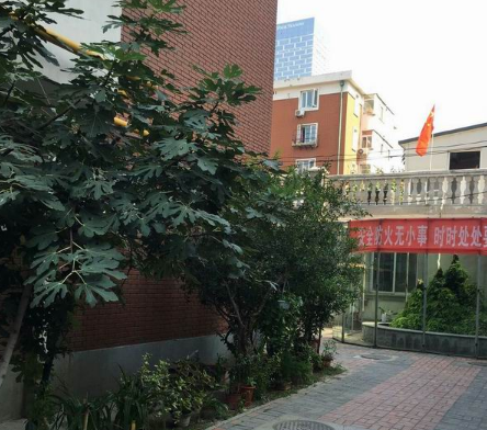 天津和平晟世老人院_天津和平区5000元左右养老院地址