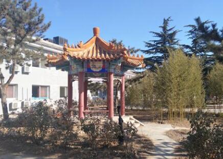 北京市昌平区快乐老人养老院环境图片