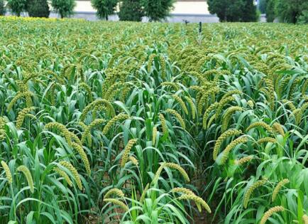 北京云居敬老院环境图片