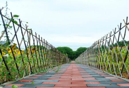 北京云居敬老院环境图片