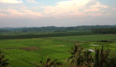 海南爱来田心生态农庄_海口优质养老院,海口好的养老院