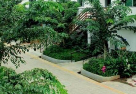 海南省海口普亲养老院_海口养老院有几家,海南海口养老院排名