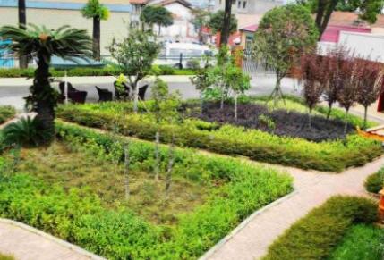 苏州敬老院有哪些？