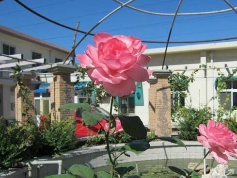 天津市艺雅老年公寓_天津西青区老年痴呆老年护理院地址查询