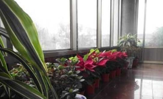 石家庄市新华区老年保健护理院环境图片