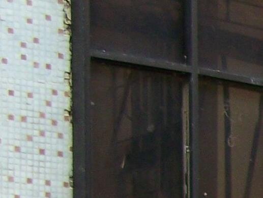 海口美兰区椰岛之家老年公寓_海口老年护理院一般多少钱费用,海口的敬老院