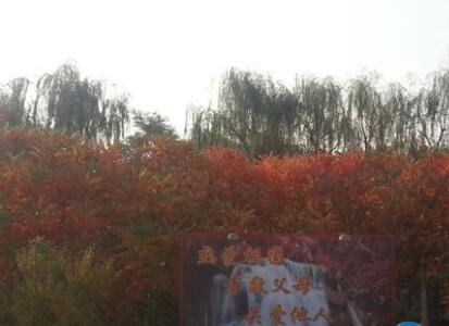 沈阳世外桃源老年养护中心环境图片