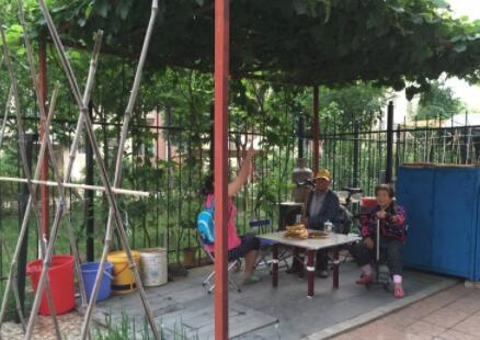 沈阳市沈北新区博大老年公寓环境图片