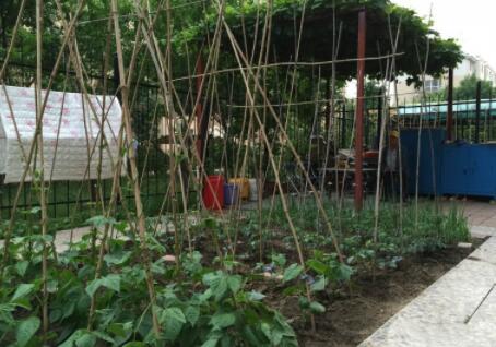 沈阳浑南区养老院价格、排名等一览表！