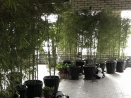 沈阳中置颐养老年公寓环境图片