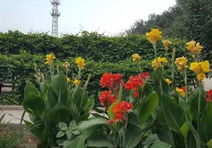 沈阳市养老服务中心_沈阳顶级养老院,沈阳顶级养老院有哪些