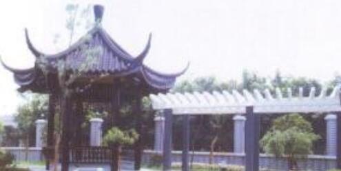 杭州市滨江区西兴镇敬老院环境图片