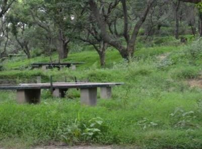 福州市仓山区康乐养老院环境图片