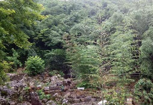 杭州灵山养老院环境图片