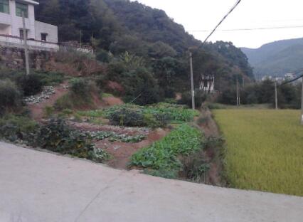 莲花镇闲人养老家庭式公寓环境图片