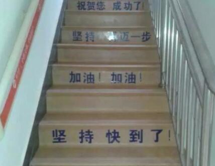 康乃馨桑榆舒苑老年照料中心环境图片