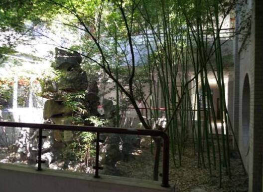 杭州市拱墅区老人公寓环境图片