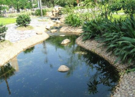 广州市荔湾区西塱养老院环境图片