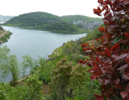 百花湖镇花桥养老院_贵阳高级的养老院名单,贵阳市的十佳养老院