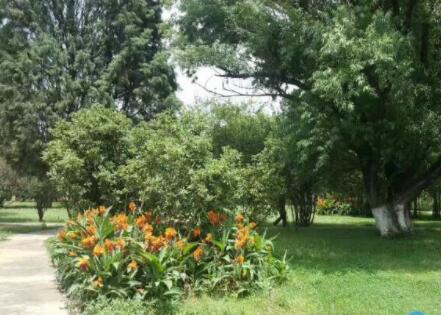 大观柏寿养护结合中心_昆明7000元养老院有哪几家,昆明养老院收费标准