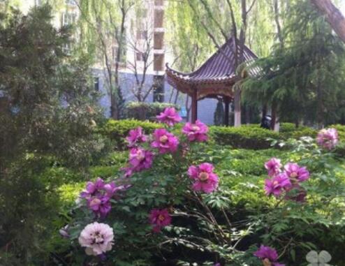 甘肃新阳光老年公寓_兰州附近老年公寓,兰州市老年餐订餐电话