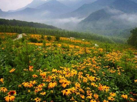 乌鲁木齐市爱之家居家老年公寓_乌鲁木齐环境好的养老院,乌鲁木齐最好的养老院
