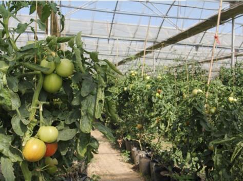 新疆乌鲁木齐南山生态老年公寓_乌鲁木齐残疾人养老院收费标准