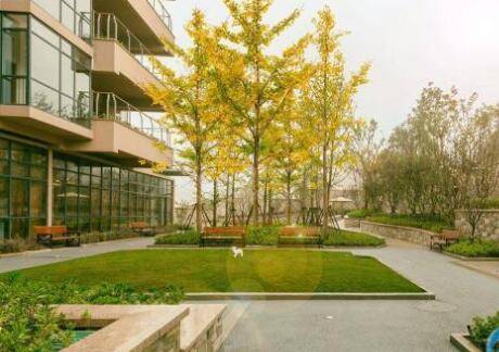 咸阳养老院一个月多少钱_咸阳养老院有哪些？